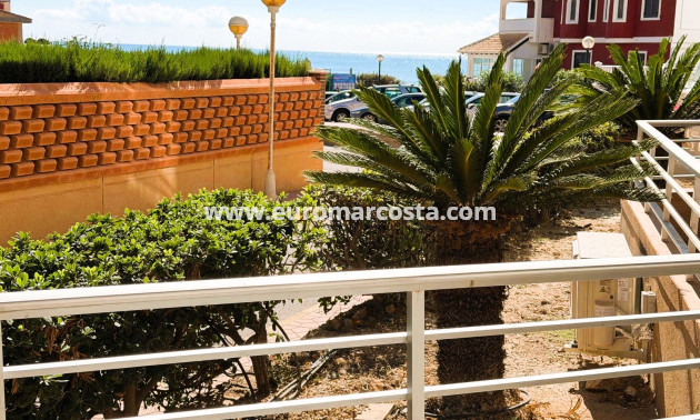 Venta - Apartamento / piso - Guardamar del Segura
