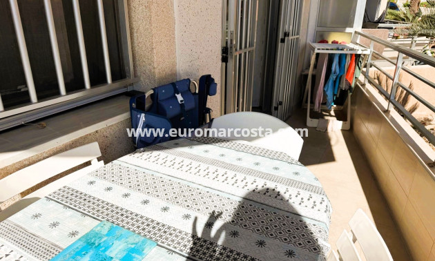 Venta - Apartamento / piso - Guardamar del Segura
