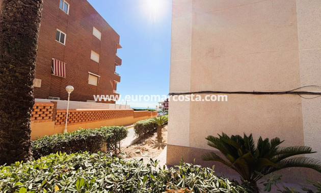 Venta - Apartamento / piso - Guardamar del Segura