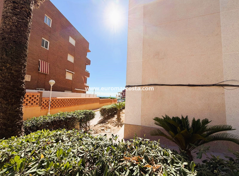 Venta - Apartamento / piso - Guardamar del Segura
