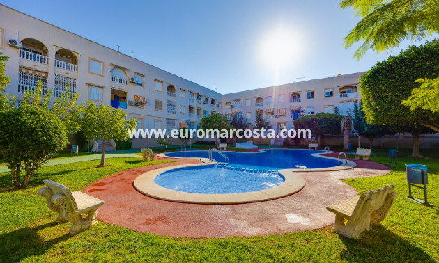 Venta - Ático - Torrevieja - TORREVIEJA