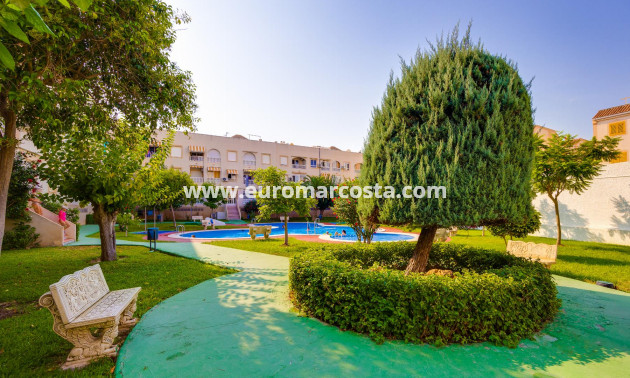 Venta - Ático - Torrevieja - TORREVIEJA