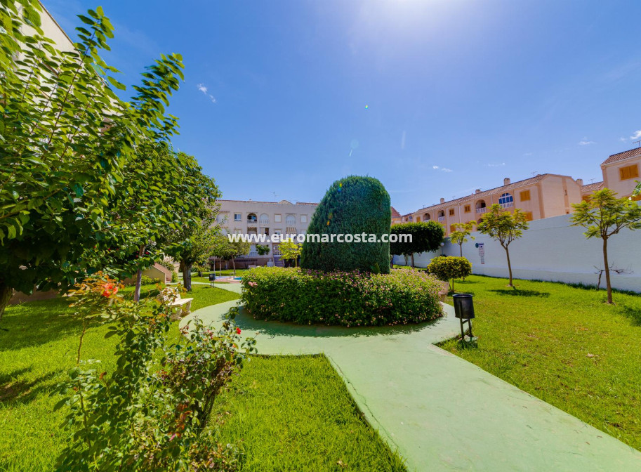 Venta - Ático - Torrevieja - TORREVIEJA