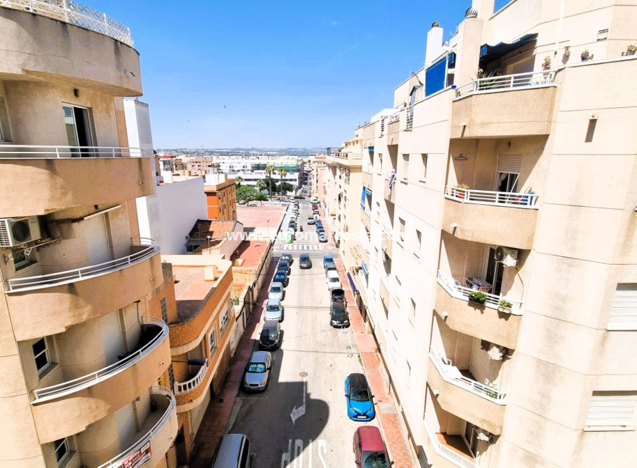 Venta - Apartamento / piso - Torrevieja - TORREVIEJA