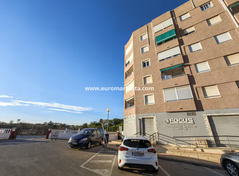 Sale - Apartment / flat - La Mata