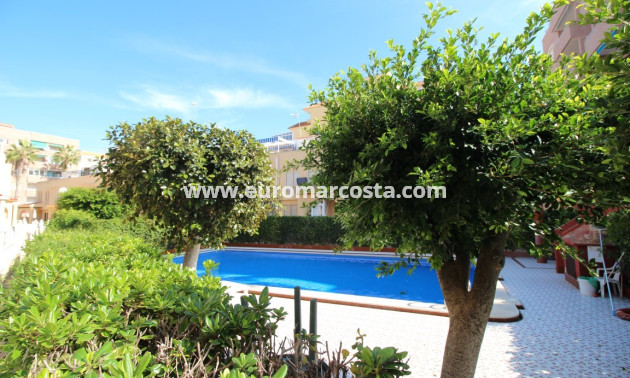 Sale - Apartment / flat - La Mata