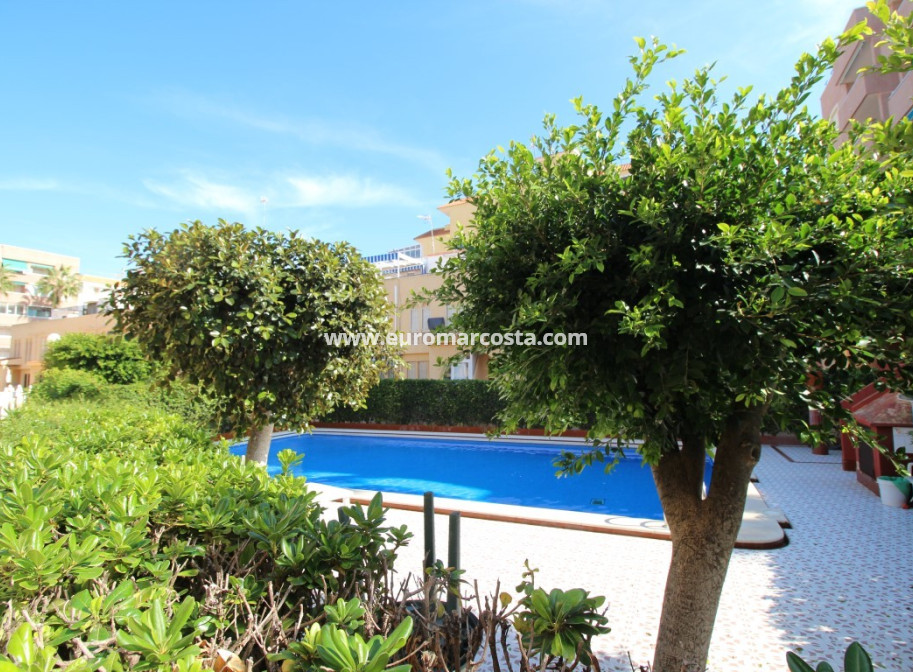 Sale - Apartment / flat - La Mata