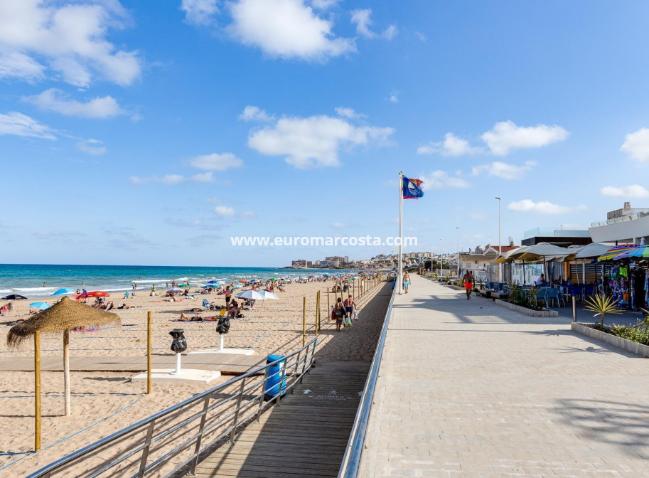 Sale - Apartment / flat - La Mata