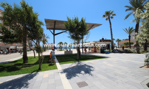 Sale - Apartment / flat - La Mata