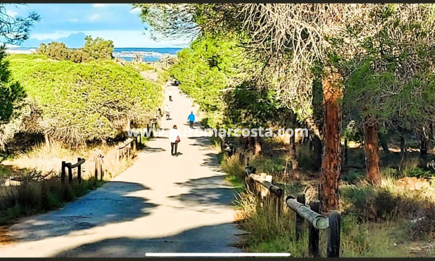 Sale - - CHALET - Guardamar del Segura