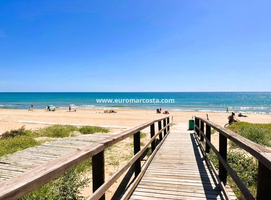 Sale - - CHALET - Guardamar del Segura