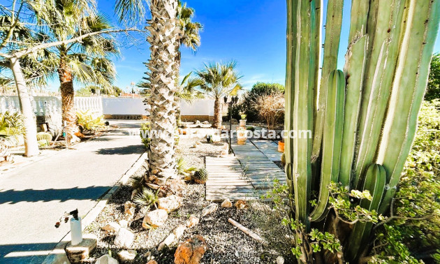 Venta - Finca - La Marina