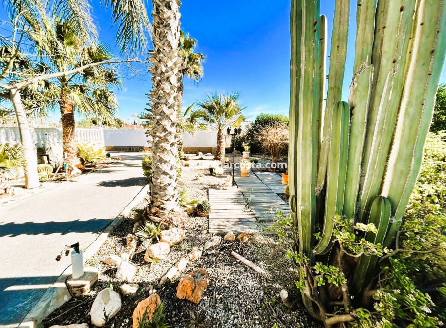 Venta - Finca - La Marina