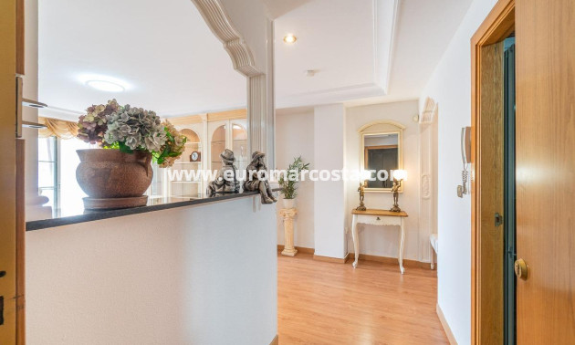 Objekte zum Wiederverkauf - Penthouse - Torrevieja - TORREVIEJA
