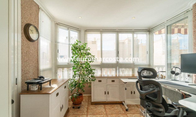 Objekte zum Wiederverkauf - Penthouse - Torrevieja - TORREVIEJA