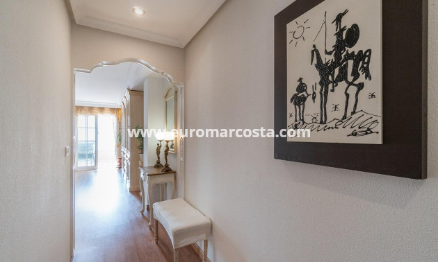 Objekte zum Wiederverkauf - Penthouse - Torrevieja - TORREVIEJA