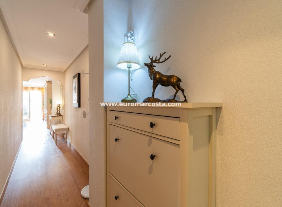 Objekte zum Wiederverkauf - Penthouse - Torrevieja - TORREVIEJA