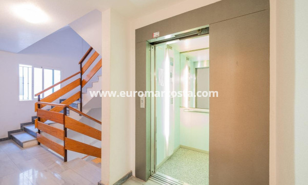 Objekte zum Wiederverkauf - Penthouse - Torrevieja - TORREVIEJA
