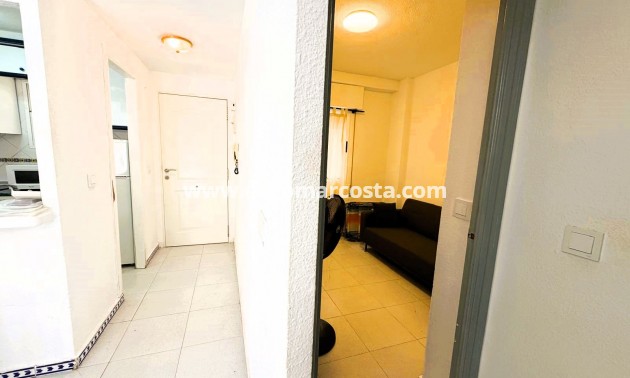 Venta - Apartamento / piso - La Mata