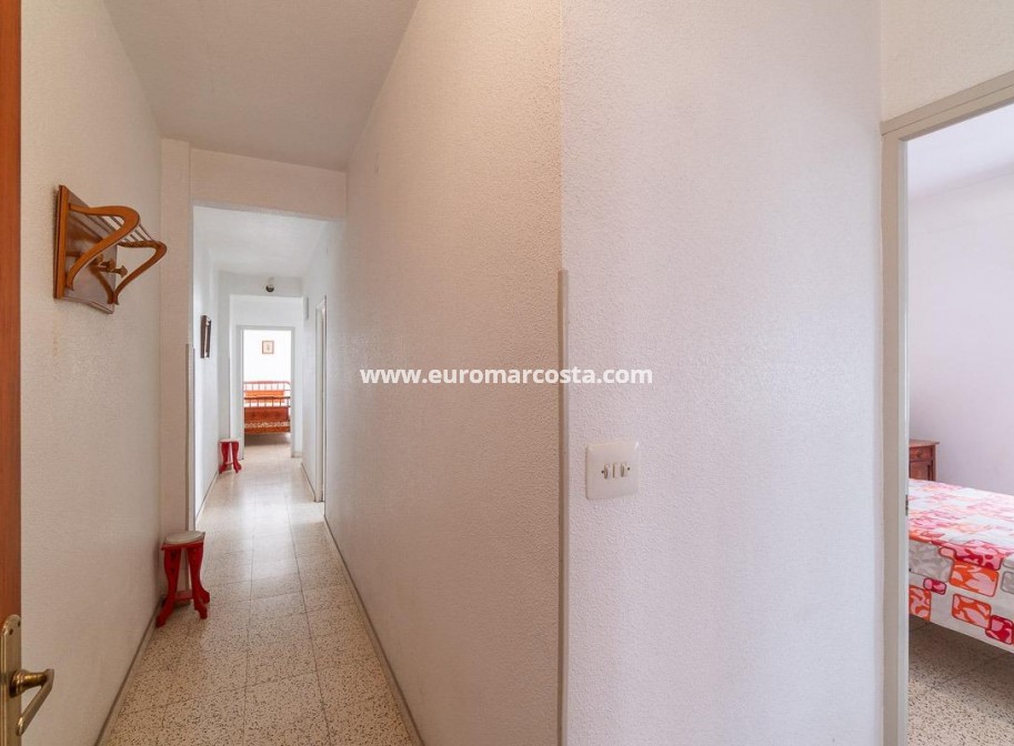 Sale - Apartment / flat - Torrevieja - TORREVIEJA