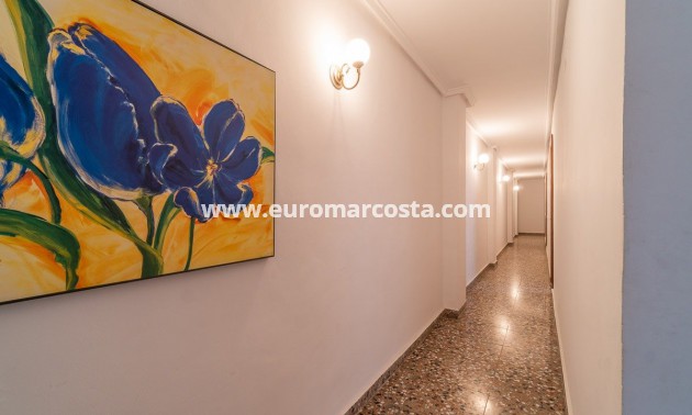 Sale - Building - Torrevieja - TORREVIEJA