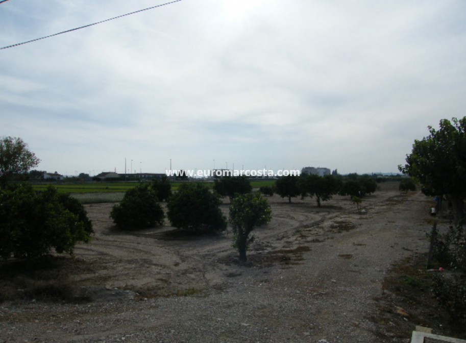 Sale - Land - Daya Nueva