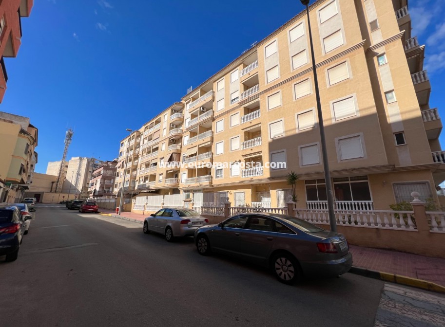 Venta - Apartamento / piso - Guardamar del Segura