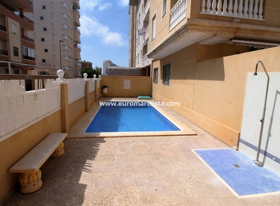 Venta - Apartamento / piso - Guardamar del Segura