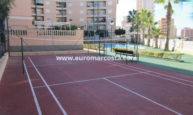 Sale - Apartment / flat - Guardamar del Segura