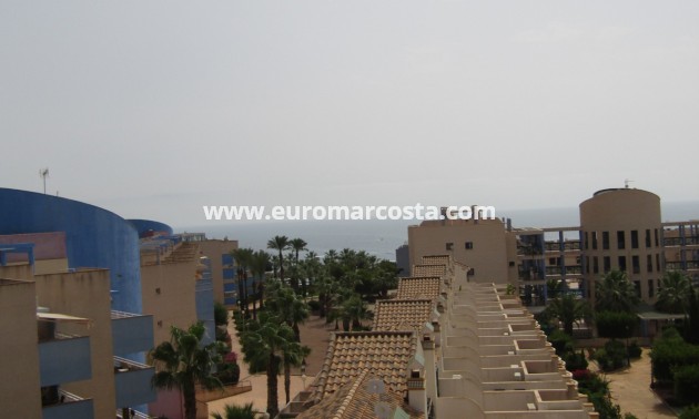 Sale - Apartment / flat - Orihuela Costa