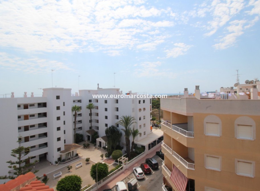 Venta - Apartamento / piso - Guardamar del Segura - Guardamar Playa