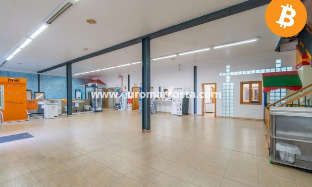 Sale - Industrial unit - Pilar de la Horadada