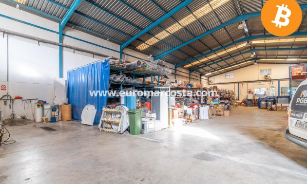 Sale - Industrial unit - Pilar de la Horadada