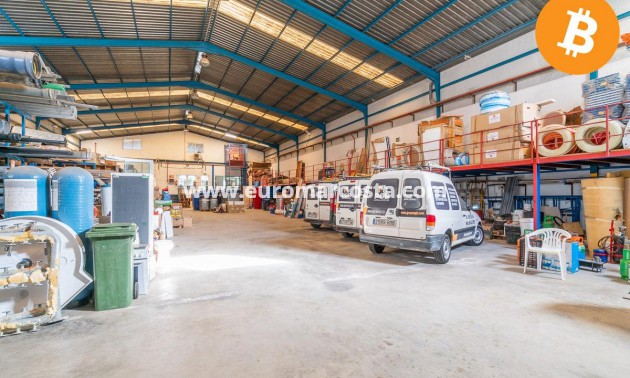 Sale - Industrial unit - Pilar de la Horadada