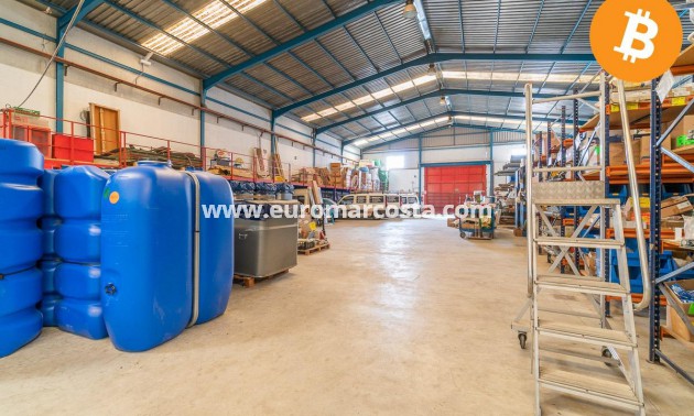 Sale - Industrial unit - Pilar de la Horadada