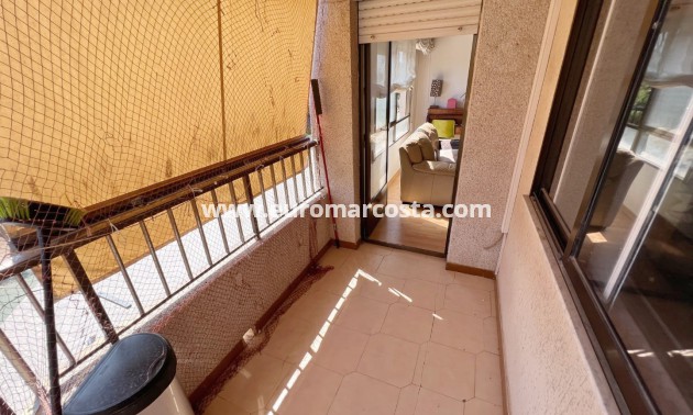 Venta - Apartamento / piso - Guardamar del Segura