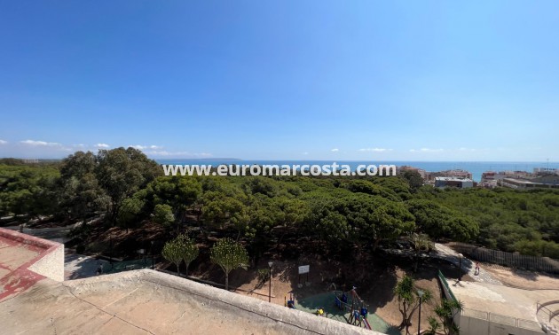 Sale - Apartment / flat - Guardamar del Segura