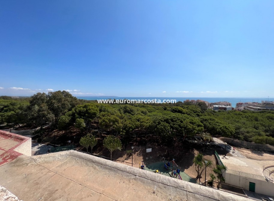 Sale - Apartment / flat - Guardamar del Segura