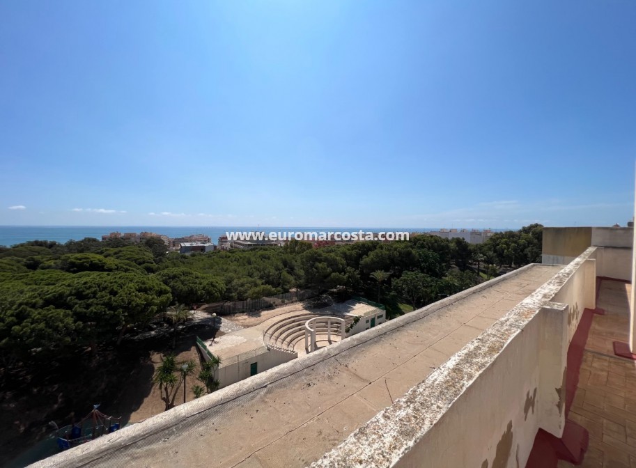 Sale - Apartment / flat - Guardamar del Segura