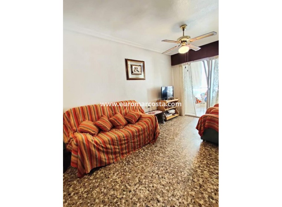 Venta - Apartamento / piso - Torrevieja - TORREVIEJA
