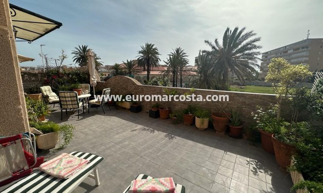Venta - Apartamento / piso - La Mata
