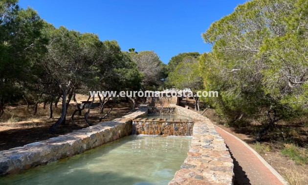 Sale - Apartment / flat - La Mata