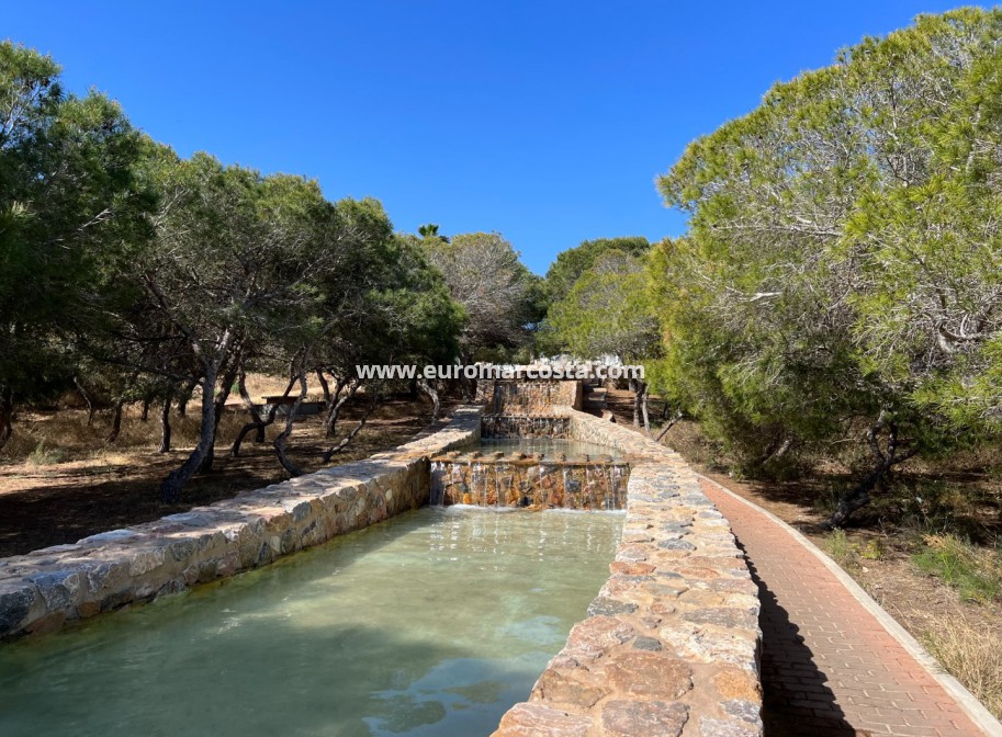 Sale - Apartment / flat - La Mata