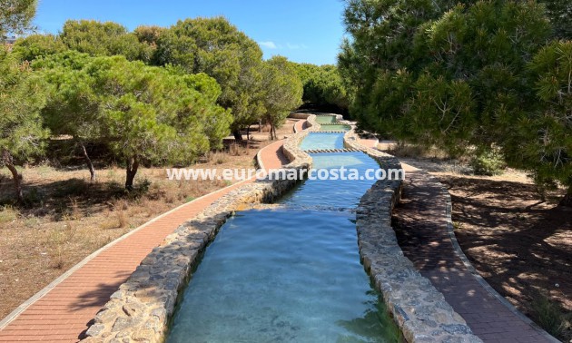 Sale - Apartment / flat - La Mata