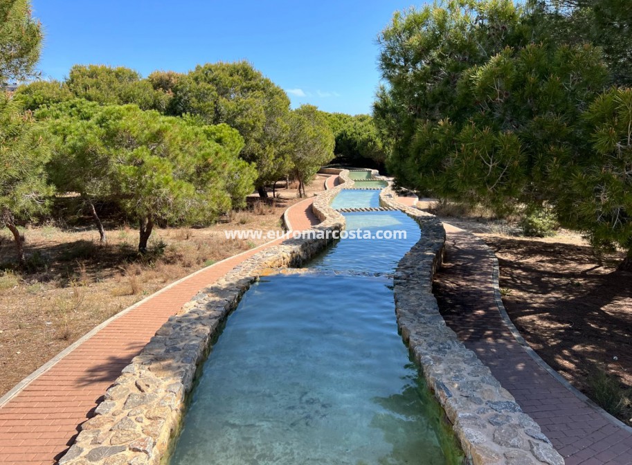 Sale - Apartment / flat - La Mata