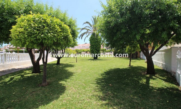 Venta - Villa / Semi pareado - Torrevieja - TORREVIEJA