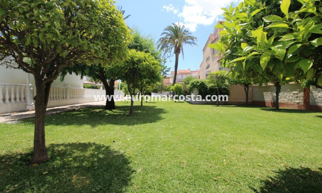 Venta - Villa / Semi pareado - Torrevieja - TORREVIEJA