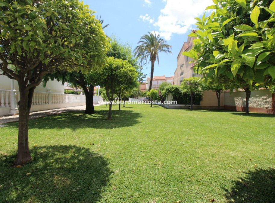 Venta - Villa / Semi pareado - Torrevieja - TORREVIEJA