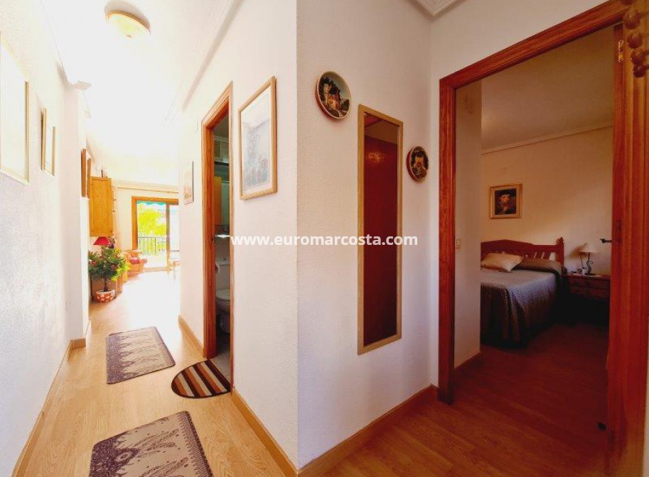 Venta - Apartamento / piso - La Mata - Viñamar II