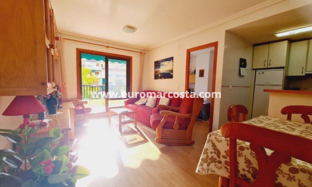Venta - Apartamento / piso - La Mata - Viñamar II